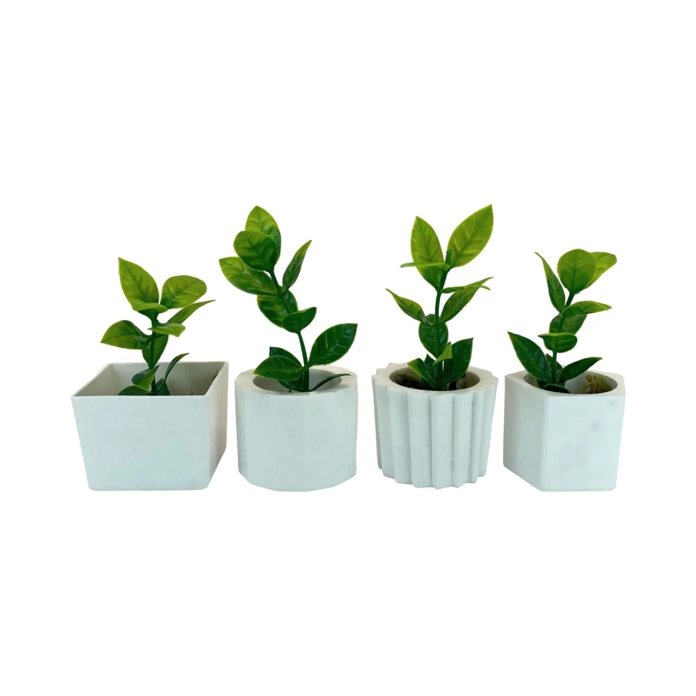 Kit 4 Suculentas Realistas Veltrano Green Life com Base Cerâmica Fosca